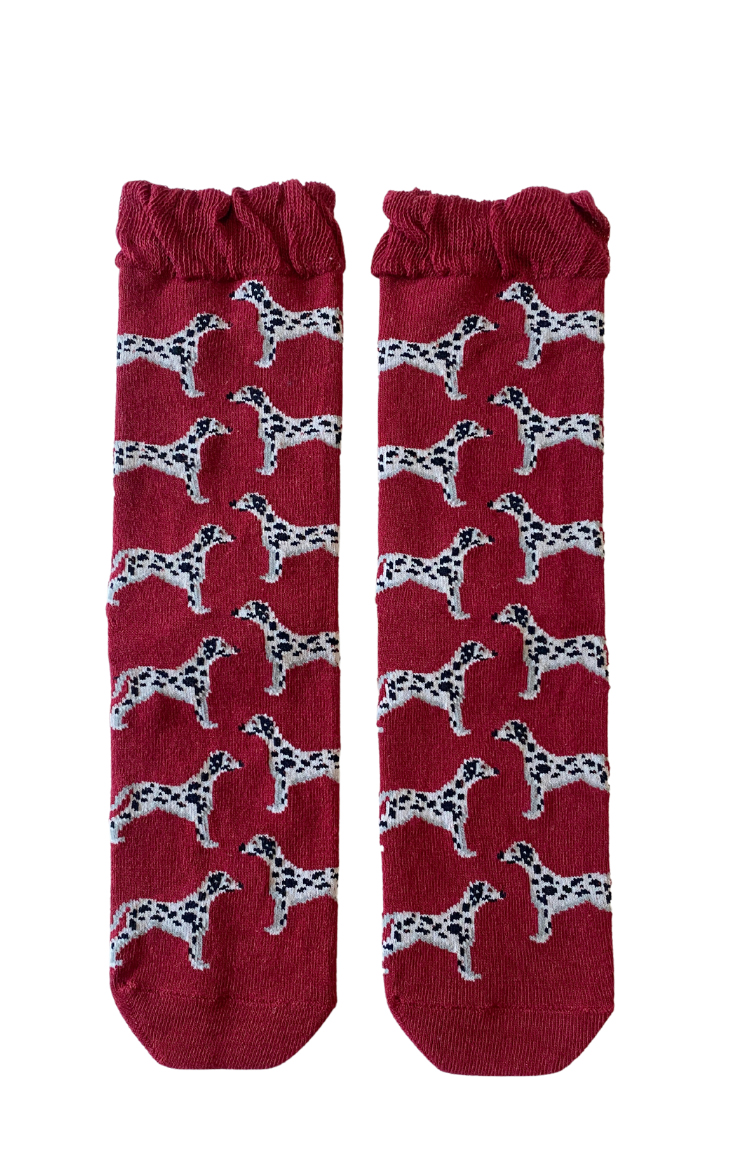 5528 gift socks holiday christmas dalmatian dog animal